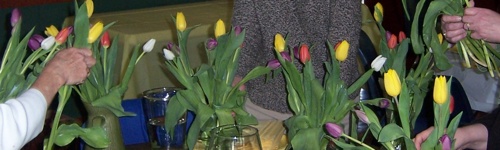 MaundyTulips.jpg