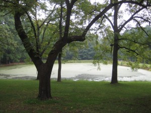 IMG_1566