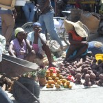 IMG_5384